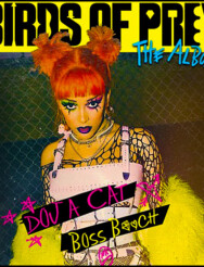 Birds Of Prey - Bad Girls Top Ten Music Chart