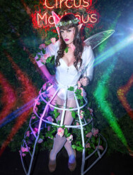 Circus Maximus Events: Wild Nights of Kink